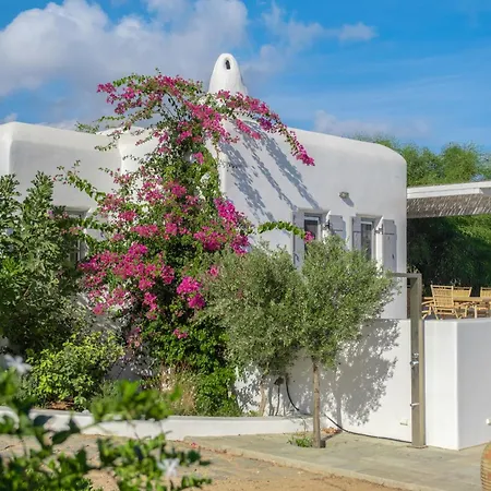 Seafront Stoa In Dryos Villa *